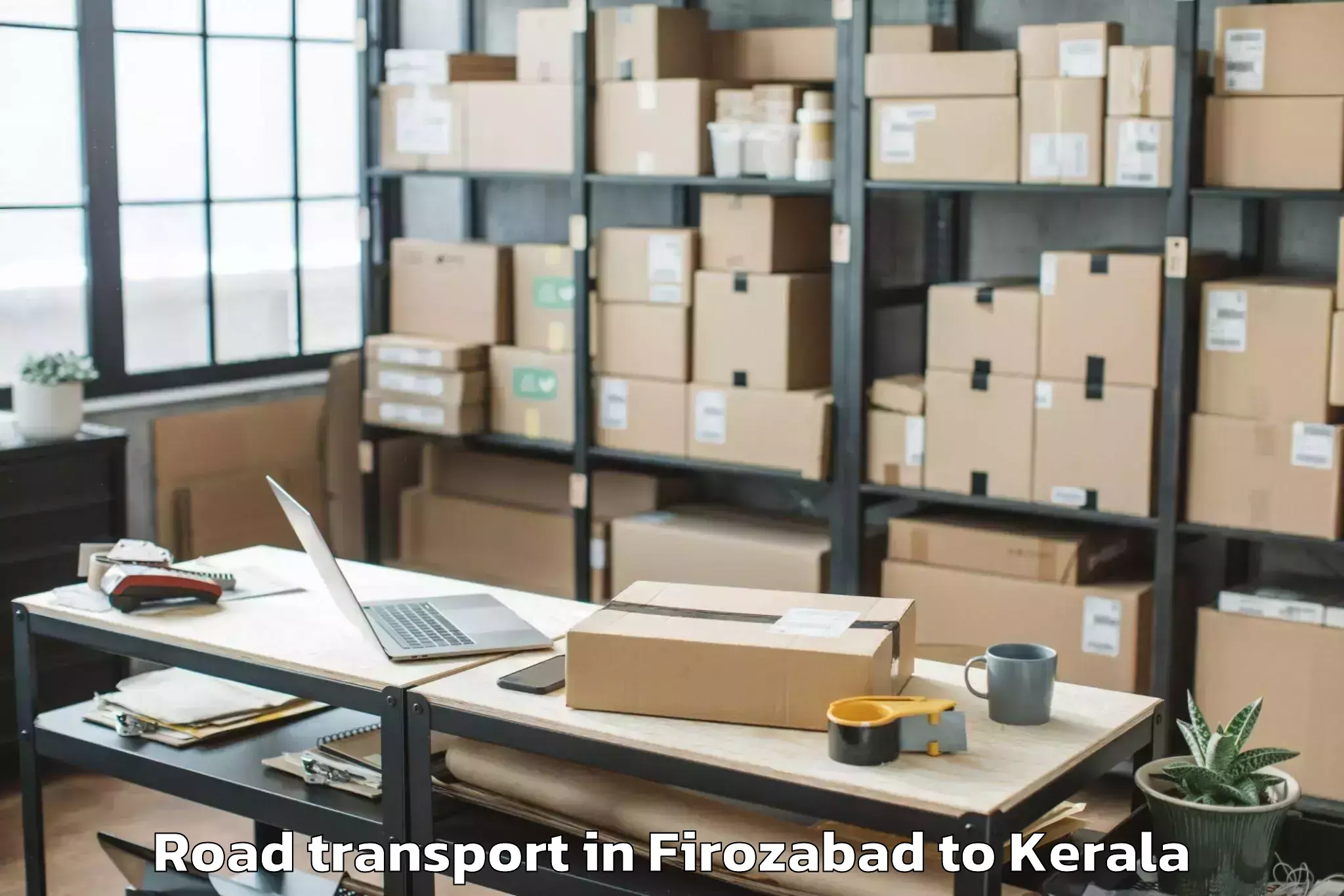 Professional Firozabad to Mall Of Joy Thrissur Road Transport